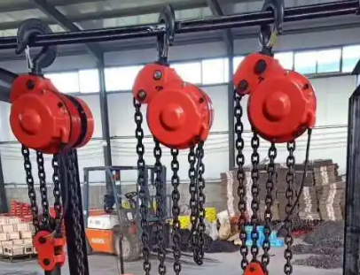 為什么嚴(yán)格禁止爬架葫蘆曬太陽